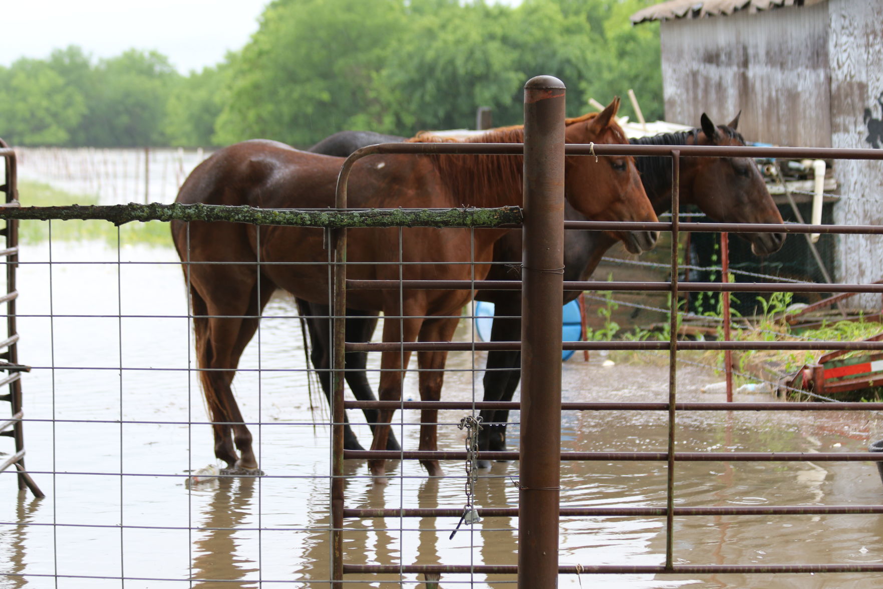 Skiatook Flooding